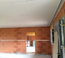 Pose du plafond