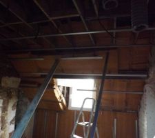 Rampant laine de bois