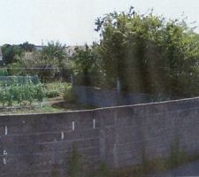 Terrain avant destruction du mur