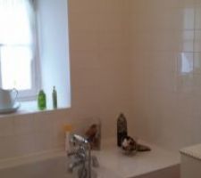 État de départ salle de bain des invités