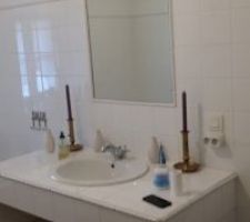 État de départ salle de bain des invités
