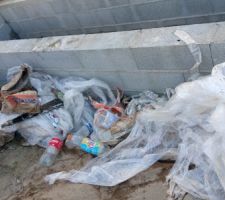 Déchets sortie..