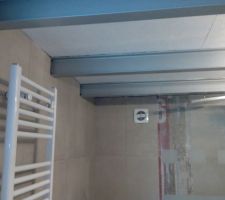 La SDB du mazet en version ''Argent martelé''pour les poutrelles et ''Blanc- blanc01'' pour le plafond
