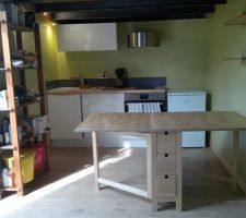 La cuisine du mazet en version ''Vert botanique''