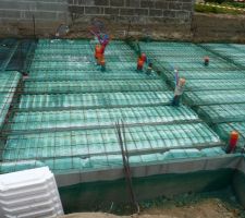 MDR une maison verte moi je préfère le bleu
vive les termites