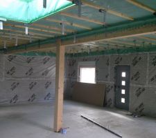 Démarrage placo intérieur: suspentes de plafond