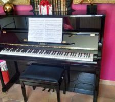 LE FAMEUX PIANO QUI NE RENTRE NULLE PART! (1m48)