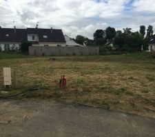 Afin de faciliter la mise en place du bornage, grosse coupe  à la débroussailleuse pendant plus de 3h