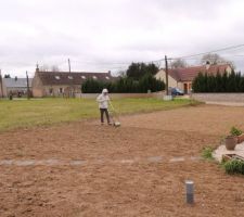 Roulage après semis