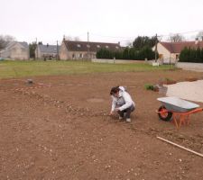 Ramassage des cailloux avant semis du gazon