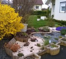 Parterre de fleur au printemps