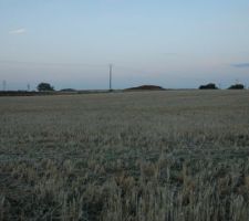 Première visite du terrain.