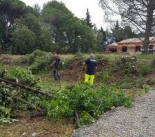 Apr&egrave;s quelques heures