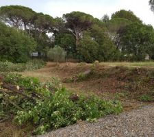 Apr&egrave;s quelques heures