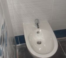 Le bidet caréné ;-)