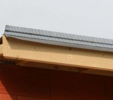 Closoir peigne cache moineau