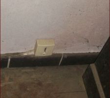 Prise téléphonique