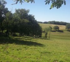 Terrain non clôturer sur sa largeur