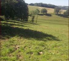 Terrain non clôturer
