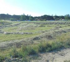 Mur de bienvenue du futur lotissement qui avance bien, les bouches d'&eacute;gout sont termin&eacute;es