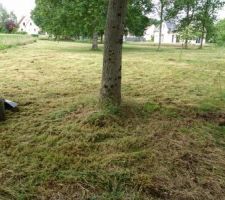 Petit nettoyage en attendant l?emménagement.
- tonte
- Coupage de branche
- desherbage
