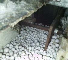 Vis cot&eacute; gauche de ipn