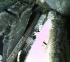 Vis cot&eacute; droit de ipn