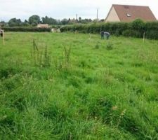 Vu de la limite du jardin