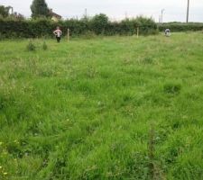 Vu de la limite du jardin