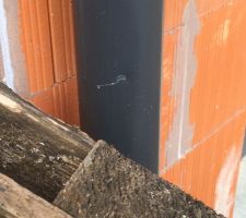 Voisin pas sympa. Palette jet&eacute; sur ch&eacute;neau !!