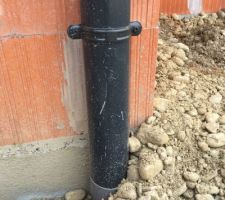 Ch&eacute;neaux ab&icirc;m&eacute; lors de des VRD...