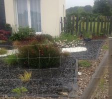 Végétaux mis : Gaura, lavande , alium, rhododindron, sedum, carex , yucca , veronique , érable du japon