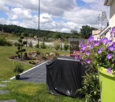 Végétaux mis : gaura, pivoine, saule crevette, yucca gloriosa, carex bronze, laurier , pavot, salvia , sedums, ....