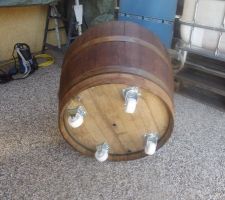 Demi tonneau pour le rempotage du citronnier