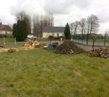 Tron&ccedil;onnage du cerisier termin&eacute;e. Maintenant faut tout nettoyer ...