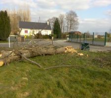 Ca y est , il est tomb&eacute; !!