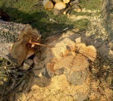 Sacr&eacute; diam&egrave;tre ...