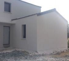 Crépis finis