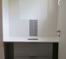 Plan de vasque et meuble sdb
