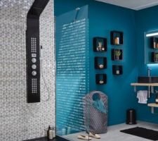 J'aimerais cette couleurs bleu dans ma salle de bain du haut