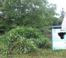 Et voila le parc pour notre maison ^^ un peu de debroussaillage &agrave; faire!