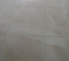 Carrelage salle de bain