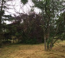 Terrain plat de 744 m2