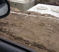 Un petit hérisson était tombé dedans, mission secours! On l'aperçoit devant.