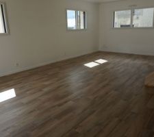 Nettoyage de la maison