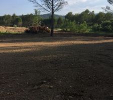 Vue du fond du terrain sur le chemin d'accès