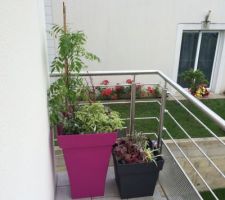 Ce week end on s'occupe du fleurissement du balcon du bureau/chambre d'amis!