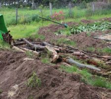 Potager en cours