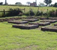 Carrés potager