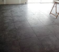 Carrelage pièce de vie